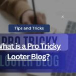 What is a Pro Tricky Looter Blog?