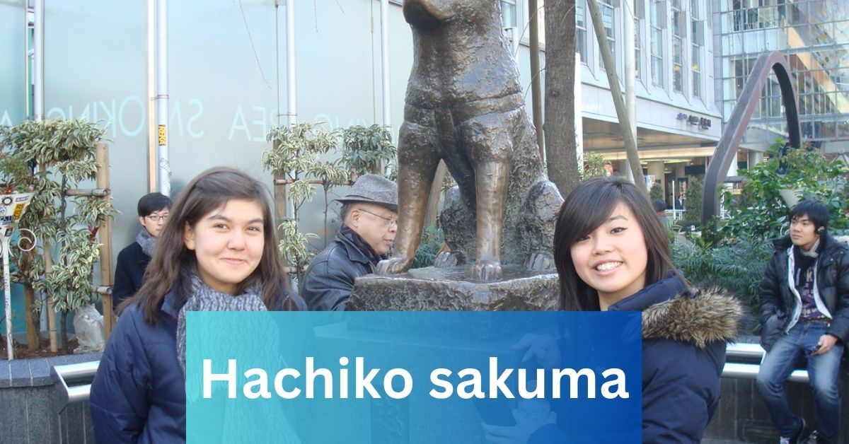 Hachiko sakuma