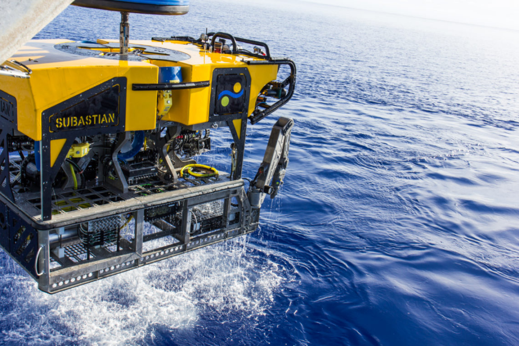 ROVs and Submersibles: