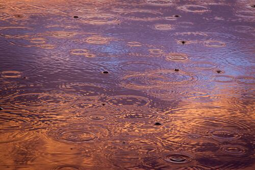 Co Don Danh Cho Nguyen Si Kha: A Rainy Day Masterpiece: